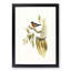 Flame-Breasted Robin by Elizabeth Gould - Picture Frame Painting Print-55609176-55609173