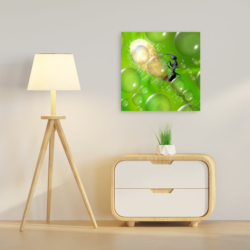 Ant And Green Drops Delicate Vibrant Abstract Ant Nature Plant Wall Art Print by Thierry Dufour - Print