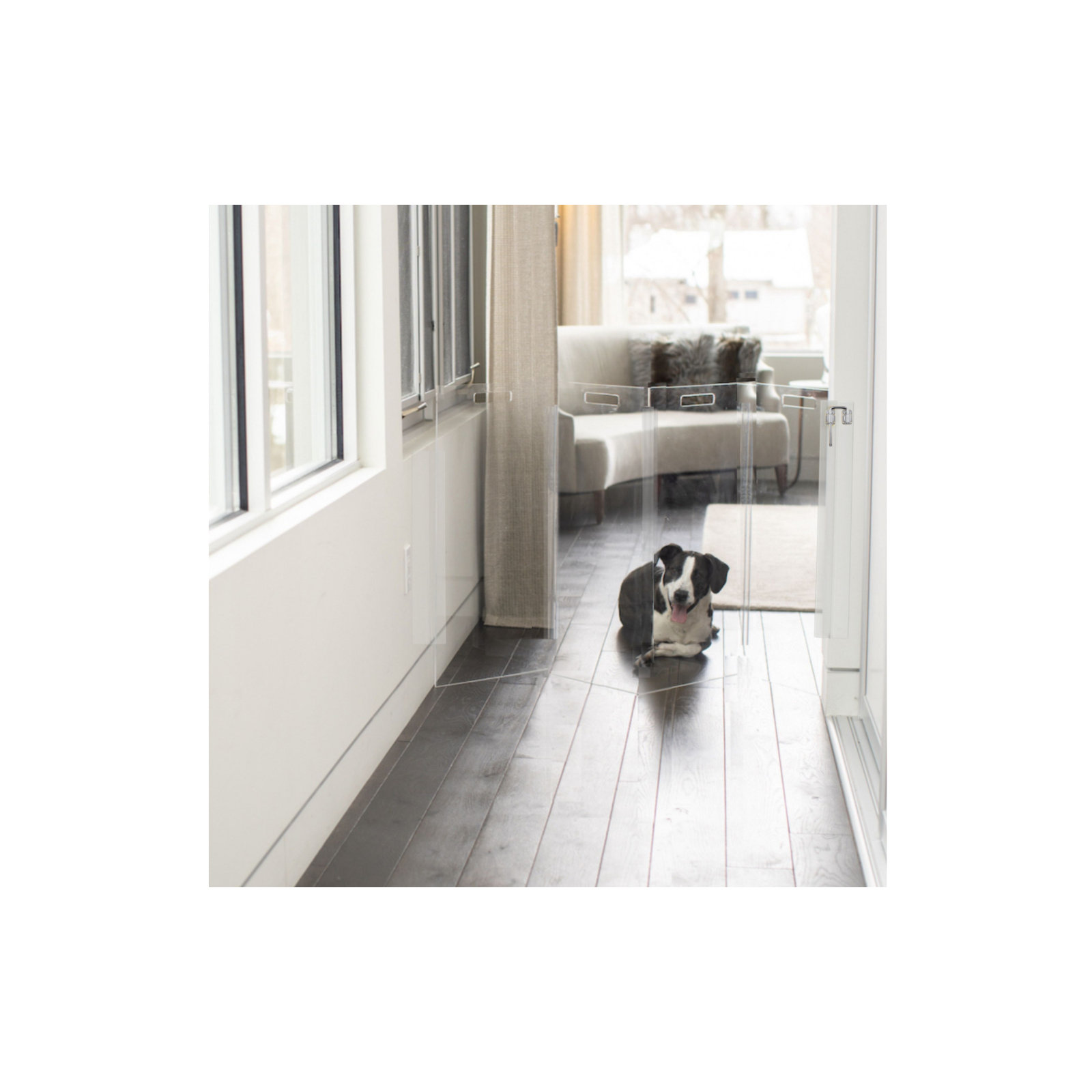 Tall Zig Zag Wall Mounted Clear Pet Gate , 4 Panel, Silver