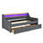 Upholstery Sofa Bed With Three LED Lights-318505118