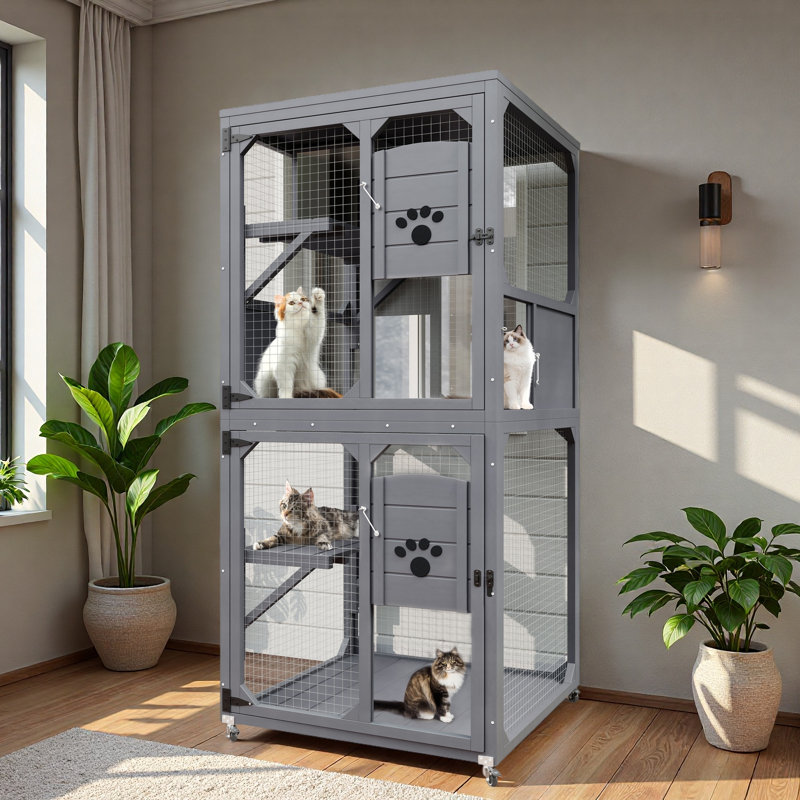 Fenêtre pour chat Catio