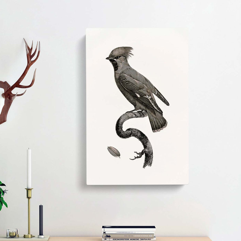 Great Waxwing Bird by Jacques Barraband - Wrapped Canvas, 76cm H x 50cm W x 3cm D