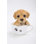 Animals Weather Resistant Water Resistant UV Resistant Polyresin Garden Statue
