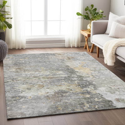 Machine Washable Indoor/Outdoor Claudian ACN1234 Gray Rug