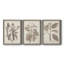 Ensemble de 3 cadres photo sur toile Midnight Tulip V-981462660-981462677