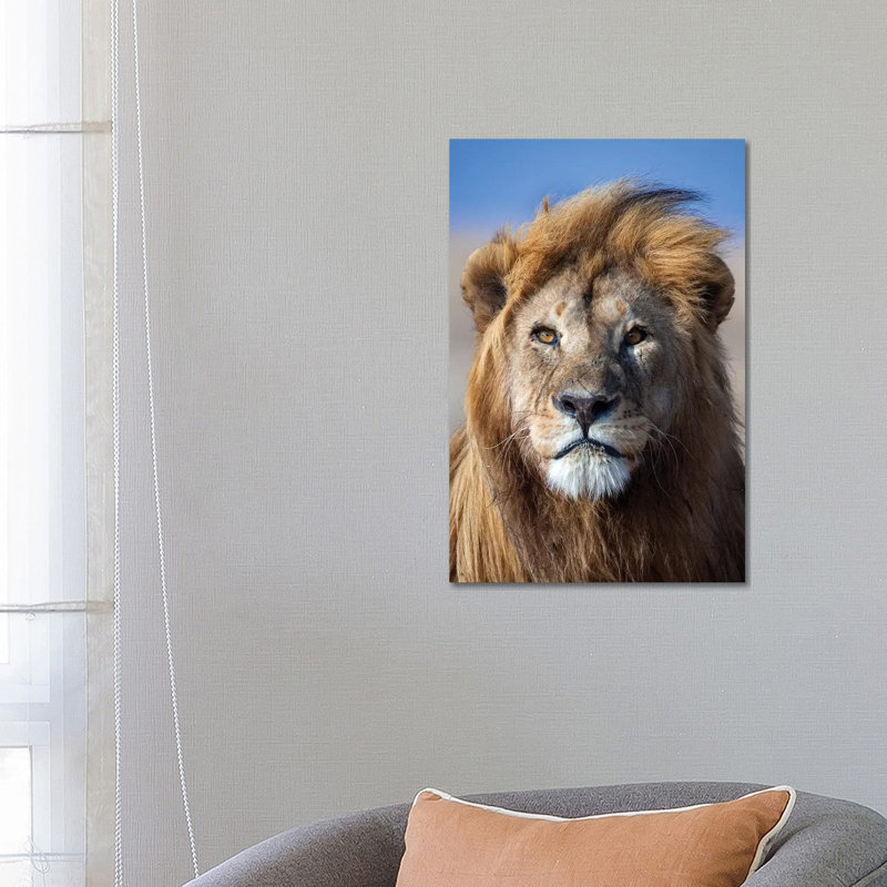 Lion Goldenmane by Mogens Trolle - Wrapped Canvas Print, 66.04 cm H x 45.72 cm W x 3.175 cm D