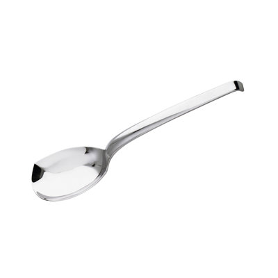 Living Stainless Steel Serving Spoon