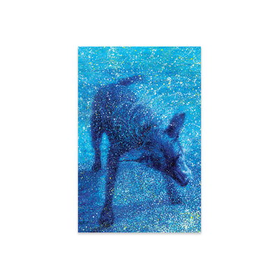 " Zippy " by Iris Scott