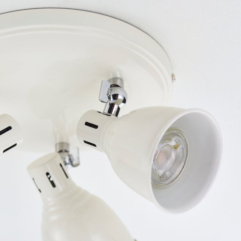 Romney Spotlight, White