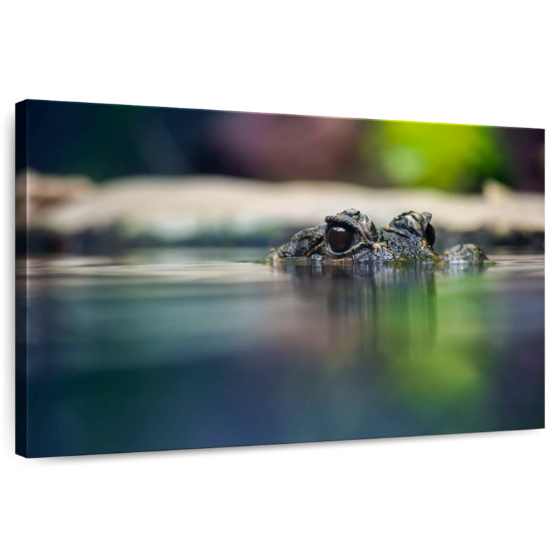Crowle Peeking Dwarf Crocodile