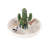 Ceramic Ring Holder