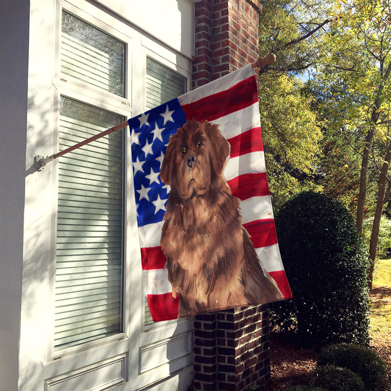 Drapeau de maison en polyester à 2 côtés Shahnur, Terre-neuve brun