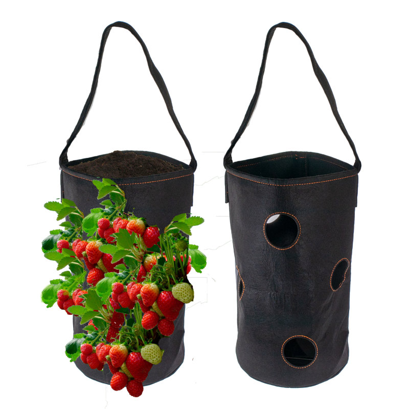 Gilberte Plastic Outdoor Hanging Planter