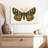 Brampt Natures Butterfly V-107852150