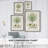Antique Tree with Fruit VIII Framed Print - Solid Wood-1490763294
