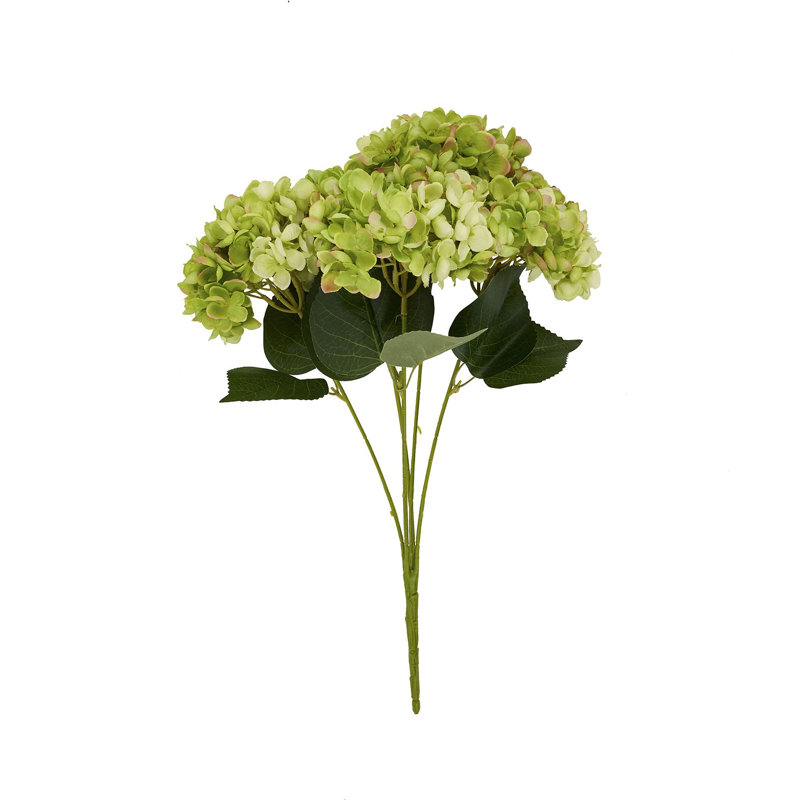 Arrangement, Green