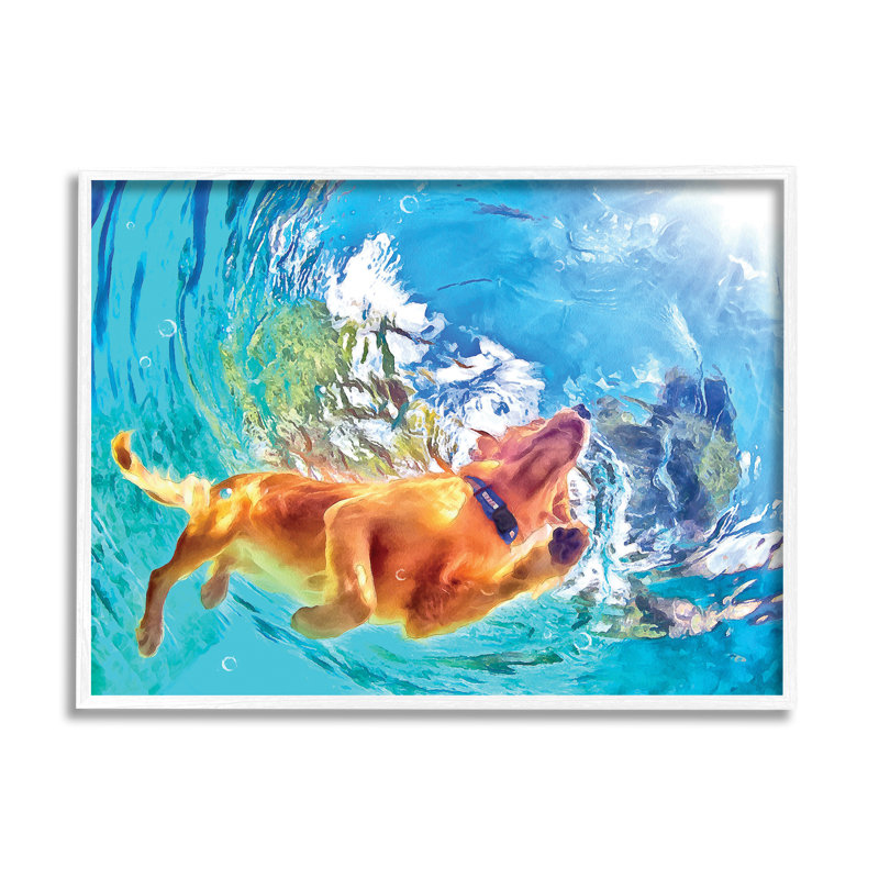 Chien nageant sous l'eau par Masey St. Studios, H 24 po x l 30 po x P 1,5 po, Giclée encadrée blanc bord de mer