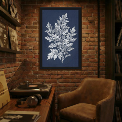 Plants & Flowers Silver Fern On Navy Background