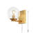 Rutig Iron Flush Mounted Sconce