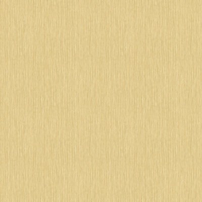 Praveen 10.05m x 53cm Matte Double Roll