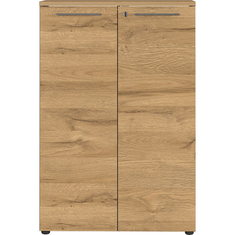 Miabella 2 -Door Storage Cabinet, Graphite/Oak