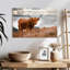 Vache Highland en Écosse-107700232