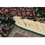 Sultan Oriental Area Rug in Green