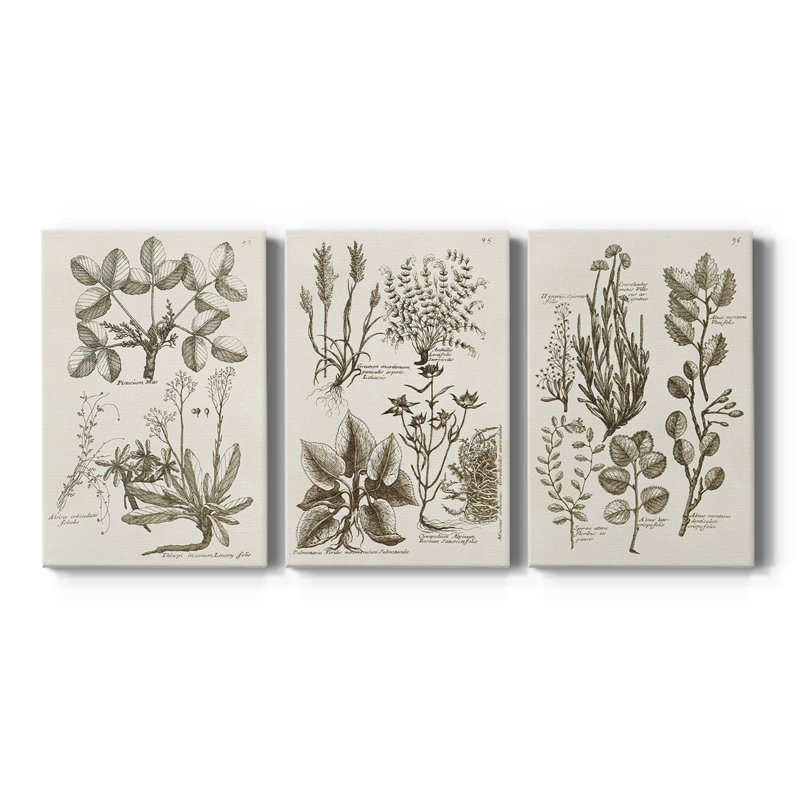 Sépia Botanical Journal VI - Toile tendue sur mesure - 3 pièces, H 48 po x l 96 po