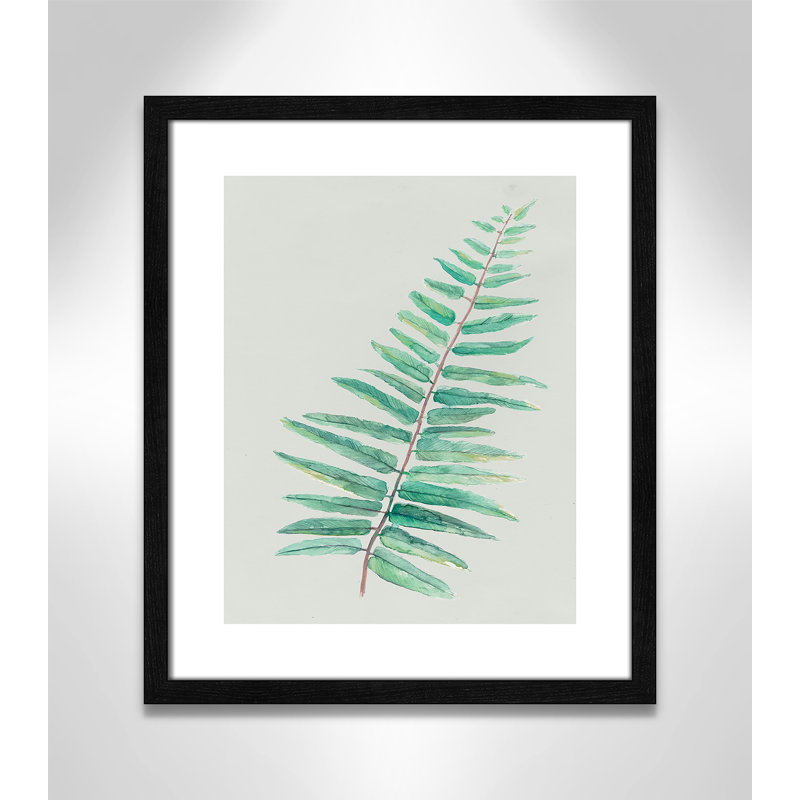«Delicate Botanical I», reproduction sur papier encadrée, Cadre à texture grain de bois noir, H 19 po x l 16 po x P 0,75 po