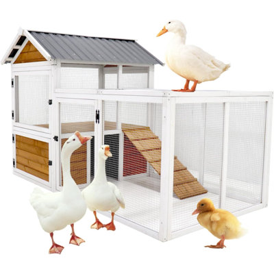 Poulailler avec couloir 77 pouces, poulailler en bois avec nichoir et toit en PVC imperméable