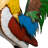 63"H Metal Jumbo Rooster Statue