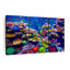 «Vibrant Underwater Scenery on Canvas», reproduction de 3 pièces