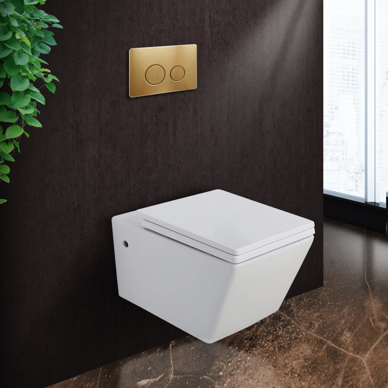 StormOn 1.6 GPF Round Wall-Mount Toilet (Seat Included), Satin Brass, 6"