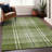 Premium Machine Washable Prisco Green Rug-49249032