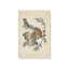 «Woodland Guardians», reproduction sur toile roulée-105960821-105960825