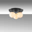 Lustre-1343484502