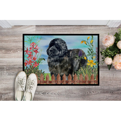 Non-Slip Outdoor Doormat