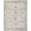 Taionna Oriental Indoor Rug