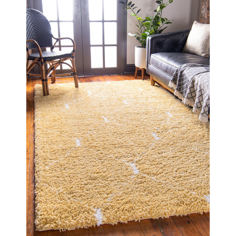 Burkart Shag Area Rug, Rectangle 152 x 244cm
