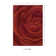 Equelle Handmade Rug Brick And Rust