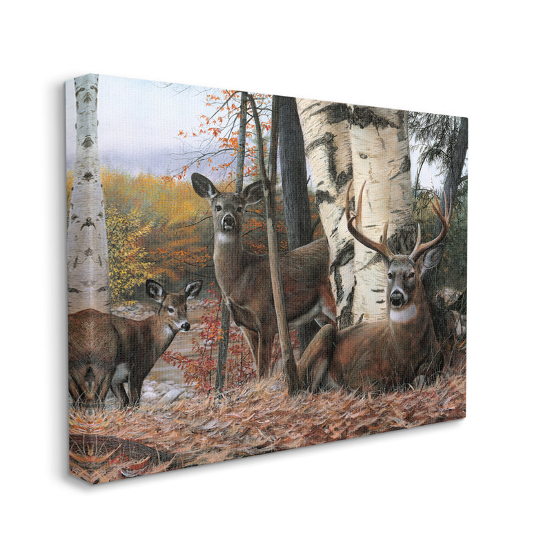 «Stupell Industries Elk Family Woodland Foliage», art mural sur toile par Kevin Daniel, H 16 po x l 20 po x P 1,5 po