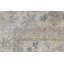 Oriental Area Rug in Ivory