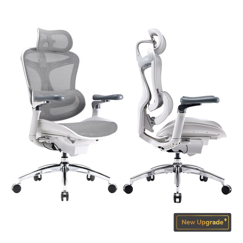 Ergonomic Office Chair with 6D Armrests, Dynamic Lumbar Support, Adjustable Backrest, White/Sliver, Grey