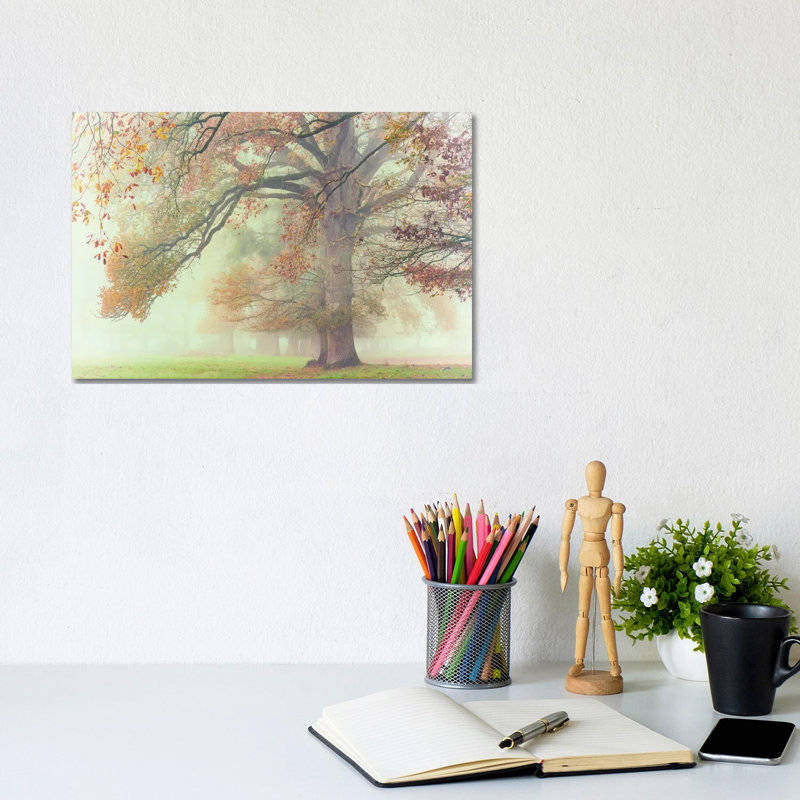 The Lonely Oak by Philippe Manguin - Wrapped Canvas Print, 20.32 cm H x 30.48 cm W