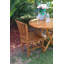 Celise Outdoor Teak Dining Side Chair
