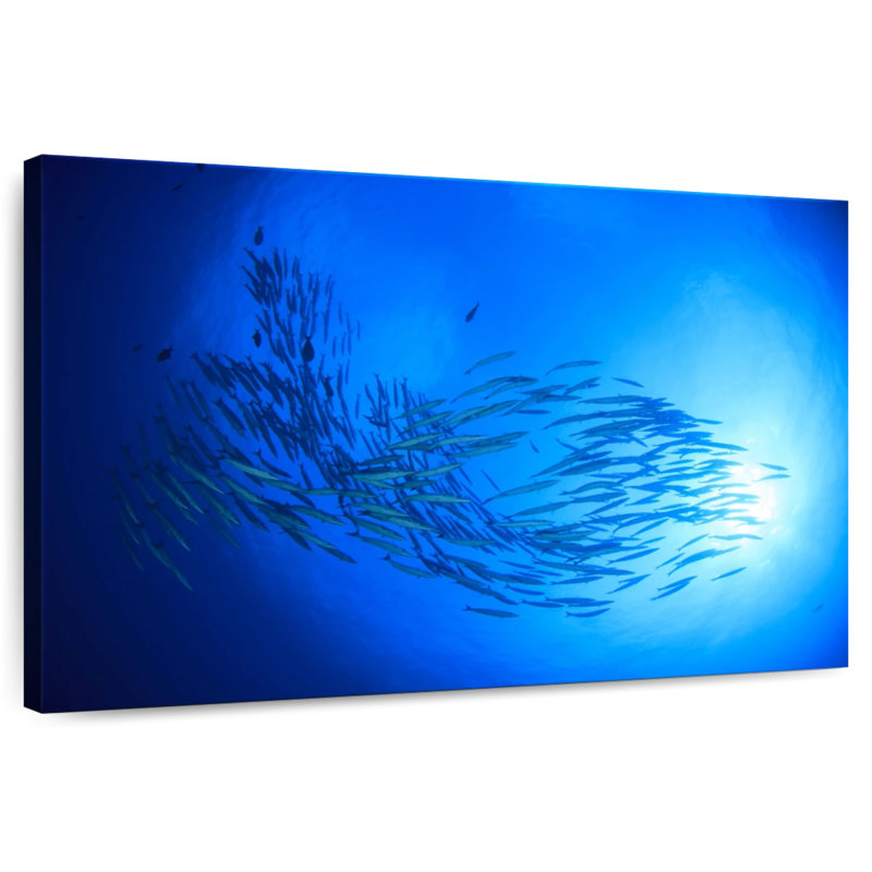 Aletra Sunrise Barracuda Fish, 8" H x 12" W