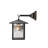 Rustic Lodge Solid Brass Armed Sconce
