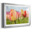 Spring Sherbet, impression sur papier encadrée-582037543-582037560