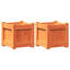 Ander Planter-1011546372-1011546375