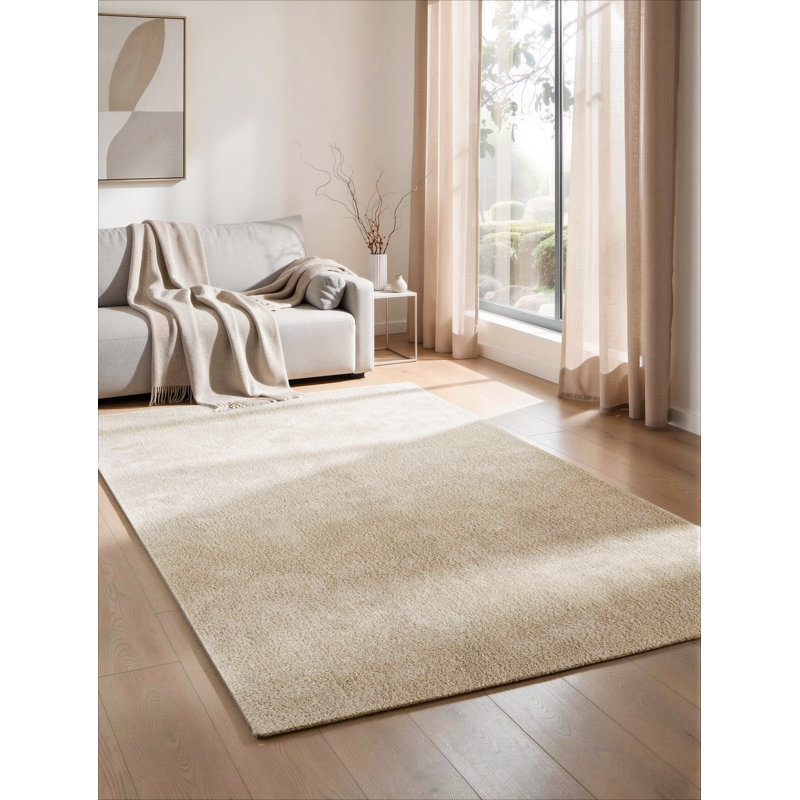 Taeler Washable Modern Living Room Rug Polyester Plain Indoor Area Rug with Low Pile - Anti-Slip Felt Backing SuperSoft Carpet Bedroom-Hallway, Light Beige